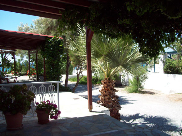 Oasis Studios