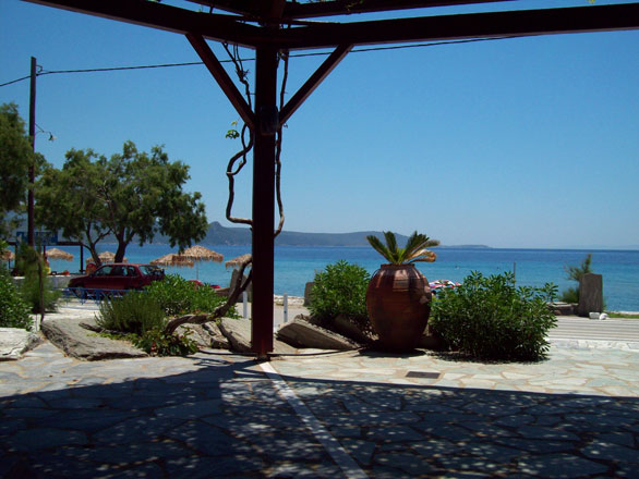 Oasis Studios